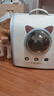 BNBNO猫包大容量宠物便捷外出透气太空舱双肩手提布偶狗背包幼犬外出包 实拍图