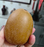 佳沛（zespri）新西兰 阳光金奇异果12粒礼盒特大果单果约122-146g 猕猴桃 水果 实拍图