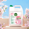 滴露（Dettol）洗手液补充装大桶消毒滋润5L 儿童家庭装杀菌护手 实拍图