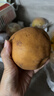 山姆大叔 山东莱阳秋月梨【闪送-多地次日达】冰糖梨子水果礼盒中秋送礼品 【羊脂级-稀缺巨无霸】单果450g+｜纯甜多汁 5斤装【超值推荐-80%选择】净4.5 实拍图