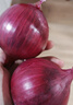 京鲜生 甘肃紫红皮洋葱净重5斤单果200g+ 现挖新鲜蔬菜 源头直发包邮 实拍图