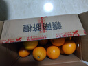集年鲜江西赣南脐橙当季新鲜橙子水果现摘现发节日送礼生鲜 含箱10斤净重9斤优选果150-230g 实拍图