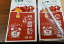 蒙牛早餐奶红枣味牛奶 250ml*16盒 送礼盒装新老包装交替 实拍图