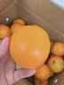 正宗赣南脐橙新鲜现摘 赣南脐橙【20斤】 【单果95mm】果王【推荐购买】 实拍图