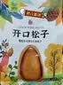 臻桦小兴安岭东北松子新货原味手剥开口松子特大野生红松子健康坚果 大粒装 500g*3袋 实拍图
