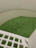 宠幸  升级2mm绿茶豆腐猫砂2.7kg*4 纯豆腐可冲厕所除臭低尘猫砂 实拍图