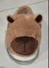 百慕倾臣 棉拖鞋女冬居家居软萌室内外穿加绒保暖柔软 包根情侣月子棉鞋男 主图色 【卡皮巴拉】 40-41 适合39-40 实拍图