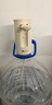 小熊（Bear）桶装水抽水器 饮水机抽水泵神器 水桶取水器 电动上水器矿泉水压水器自动吸水器F06Q1 实拍图