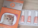 普安特宠物驱虫药猫咪体内外同驱虫滴剂耳螨驱除跳蚤螨虫蛔虫心丝虫虱子 实拍图