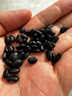 赤川肾型黑豆黑皮 （ 无染色 可打豆浆原料 五谷杂粮粗粮 ）1.8斤 实拍图