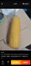 十月稻田 白甜糯玉米 1根 260g 东北鲜黏玉米棒 减脂早餐苞米 实拍图
