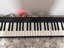 特伦斯电子琴88键折叠琴成人儿童初学电钢键盘教学乐器V10便携钢琴 典雅黑+原装琴包+Z型琴架 实拍图