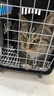 腆宠宠物航空箱小号 猫咪航空箱猫狗 猫包猫笼外出车载猫箱狗狗托运 实拍图