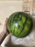 京鲜生 无籽麒麟大西瓜 1粒装 7-9斤 生鲜水果 实拍图