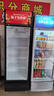 扬子（YANGZI）展示柜冷藏大容量饮料啤酒保鲜柜立式冰柜商用超市玻璃门上下机直风冷 380单门下机丨标准基础款【直冷】 【铜管制冷】【东贝压缩机】 实拍图