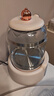 志高（CHIGO）恒温壶 1.5L恒温水壶 婴儿调奶器 温奶热奶暖奶器家用冲奶粉电热水壶烧水壶 DC-H15A 实拍图