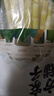 方家铺子小竹笋500g 竹笋火锅食材新鲜笋尖嫩脆笋干春笋清水竹笋火锅笋 实拍图