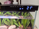 米家（MIJIA）小米米家智能生态鱼缸还原自然生态补仓一次三月无忧出差旅行必备 实拍图
