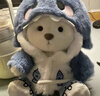 景森网红变装小熊玩偶毛绒玩具超萌布娃娃可爱公仔抱枕送男女生日礼物 蓝鲨鱼套装+小熊玩偶-30厘米 实拍图