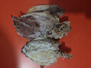 北海印象【北海特产】鱿鱼干A5 250g 淡干烧烤手撕芥末干货源头直发包邮 实拍图