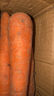 京喜加新鲜现挖现发胡萝卜农家自种蔬菜水果沙地红萝卜 带泥胡萝卜1斤 含箱 实拍图