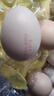 京喜加 鲜鸡蛋 土鸡蛋  五谷喂养 山林自养鸡蛋早餐 生鲜超市买菜40g 10枚 500g【含箱】 实拍图