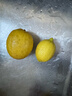 广东香水黄柠檬新鲜柠檬奶茶店专用香水黄柠檬水果产地源头直发 （带箱9斤）香水柠檬黄果单果70g起 实拍图