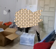 联想（Lenovo）2400Pro黑白激光多功能一体机 7400Pro打印机手动 7655DHF可家用 商用 联想-2605D 自动双面打印【只能打印】 套餐一【电脑打印】 实拍图