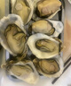 贝司令 鲜活乳山生态生蚝3XL 净重4斤 10-15只 生鲜源头直发 实拍图