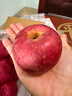 京鲜生 烟台红富士苹果 净重10斤 单果190g以上 生鲜水果 礼盒装 实拍图