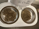 霍曼（Homerun）宠物智能自动喂食器猫粮狗粮定时猫咪自动投食机不锈钢双碗增高版 实拍图