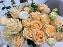 领香鲜花速递香槟玫瑰花束表白送女友老婆生日礼物全国同城配送 19朵香槟玫瑰花束 实拍图