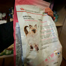 皇家幼猫猫粮 幼猫奶糕 K36 通用粮 4-12月 4.5KG 实拍图