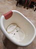 日康（rikang）泡澡桶 儿童洗澡桶婴儿游泳桶家用浴缸浴桶赠浴凳米色 X1002-2 实拍图