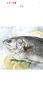 1号会员店（One's Member）零添加保水剂白蕉三去海鲈鱼 1000g（500g*2） 海鱼 海鲜水产 实拍图