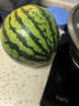 京鲜生 麒麟西瓜 1粒净重7-8斤 生鲜水果源头直发包邮 实拍图