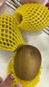 佳沛（zespri）新西兰  阳光金奇异果18粒礼盒优选果单果约101-124g 猕猴桃水果 实拍图