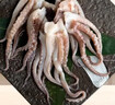 美加佳 三去鱿鱼须250g 去牙去头去脏鱿鱼爪 铁板鱿鱼 海鲜水产  实拍图