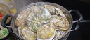 【鲜活】乳山生蚝 特大牡蛎海蛎子 生鲜中秋国庆送礼海鲜水产贝 蚝王-净重9斤（4-5两/个） 实拍图