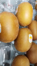 佳沛（zespri）新西兰  阳光金奇异果10粒礼盒巨大果单果约144-175g 水果 猕猴桃 实拍图