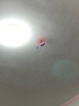 感应遥控飞机直升机儿童小型无人机航拍器飞行器航模男孩玩具 颜色随机【科技感应遥控直升机】 感应飞行【不带遥控器自动上升下降】可充电 实拍图