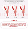洪湖诱惑 无冰小龙虾尾（一级）净虾重2斤 大号 220-260粒同工厂 实拍图