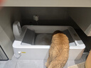 小佩智能全自动双翼猫砂盆可视开放式双仓猫厕所铲屎缅因猫 实拍图