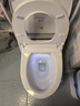帝王洁具智能马桶家用虹吸无水压抗菌隔臭静音全智能马桶坐便器【补贴】 【脚感翻盖翻圈+轻音冲+泡沫盾】北极光-旗舰版 【送货上门包安装拆旧】坑距是300-390选 305/300mm 实拍图