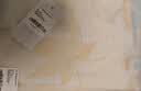 水星家纺 床笠单件 全棉100%纯棉防滑防脏家用学生宿舍床垫保护罩床罩 繁花落枫【全棉印花】 120cm×195cm 实拍图