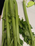 新鲜出土西芹大颗半叶绿色蔬菜榨汁专用甜脆嫩心时令蔬菜现割现发 2斤西芹超值装 实拍图