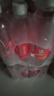依能 西柚味 无糖无汽弱碱苏打水饮料 500ml*24瓶 塑膜装 饮用水 实拍图
