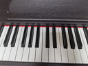 海蒂诗电钢琴便携式88键重锤初学者儿童电子钢琴成人专业电钢考级幼儿 B-101-重锤-单踏-四色可选 实拍图