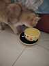 licheers恒温猫咪饮水机酸奶机恒温加热温水碗宠物陶瓷保温喝水碗 350ml 实拍图