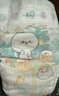 帮宝适【超薄透气】新清新帮透氧Pro拉拉裤 婴儿拉拉裤尿不湿尿裤 【超值】XL84（12-17kg） 实拍图
